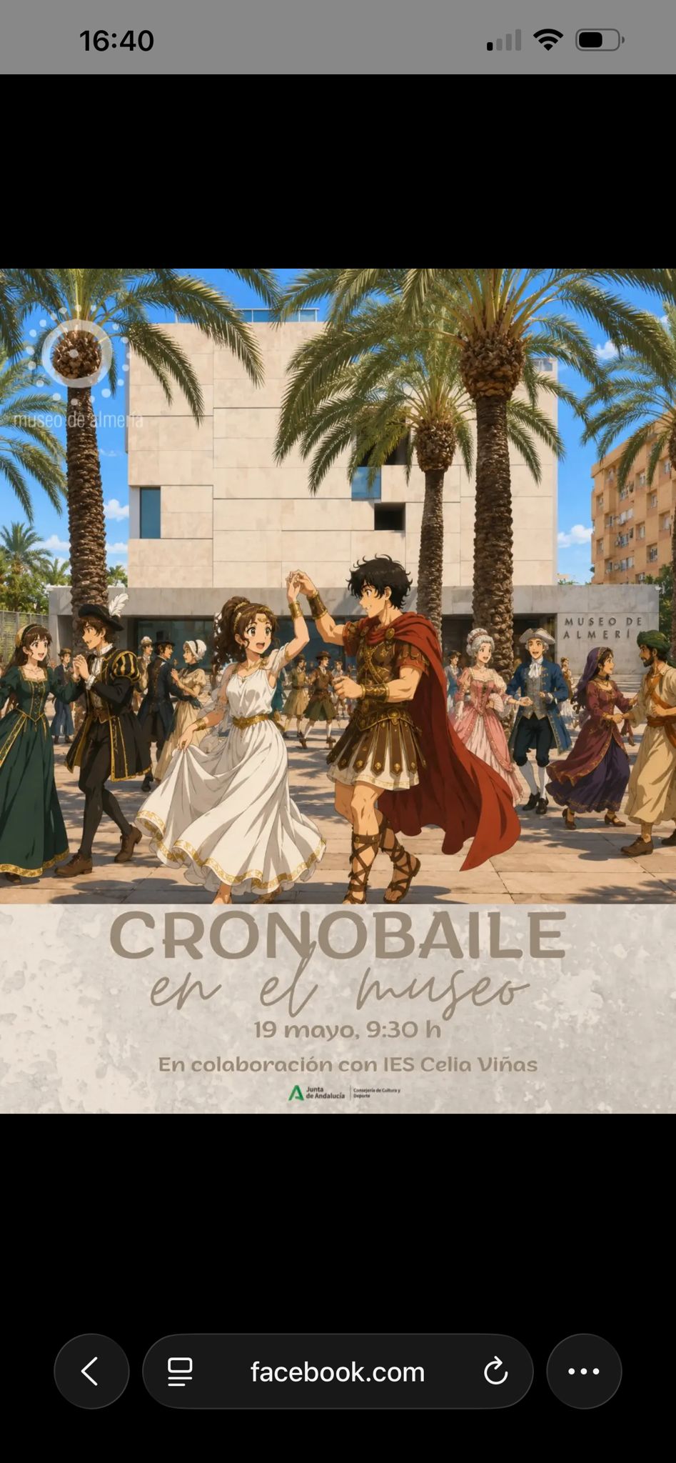 Cartel: El Museo de Almeria acoge Cronobaile con el IES Celia Vinas