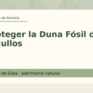 Proteger la Duna Fósil de Los Escullos